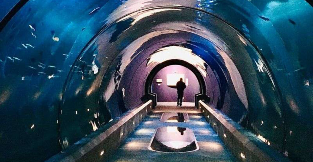 This Oregon Aquarium Makes the Underwater World Feel Surprisingly Close