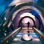 This Oregon Aquarium Makes the Underwater World Feel Surprisingly Close