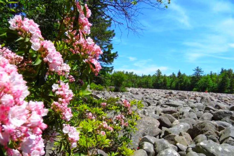 This Pennsylvania Landmark Looks Like a Frozen River Made Entirely of Giant Rocks