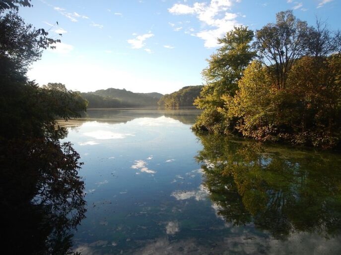 This Tennessee State Park Just Outside Nashville Has Wild Bald Eagles Nesting Over the Lake