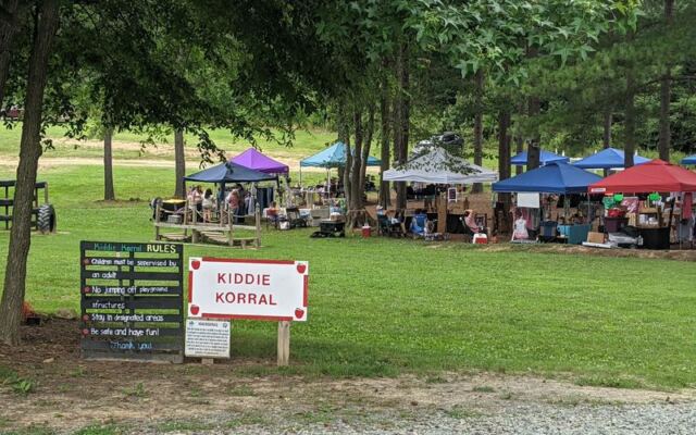 This North Carolina Farm Lets You Pick Peaches, Roam Flower Fields, And Meet Baby Highland Cows