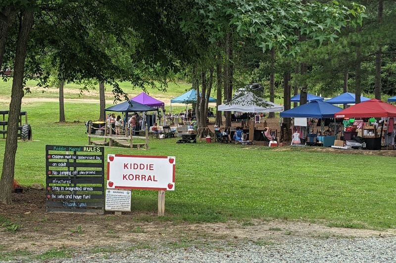 This North Carolina Farm Lets You Pick Peaches, Roam Flower Fields, And Meet Baby Highland Cows
