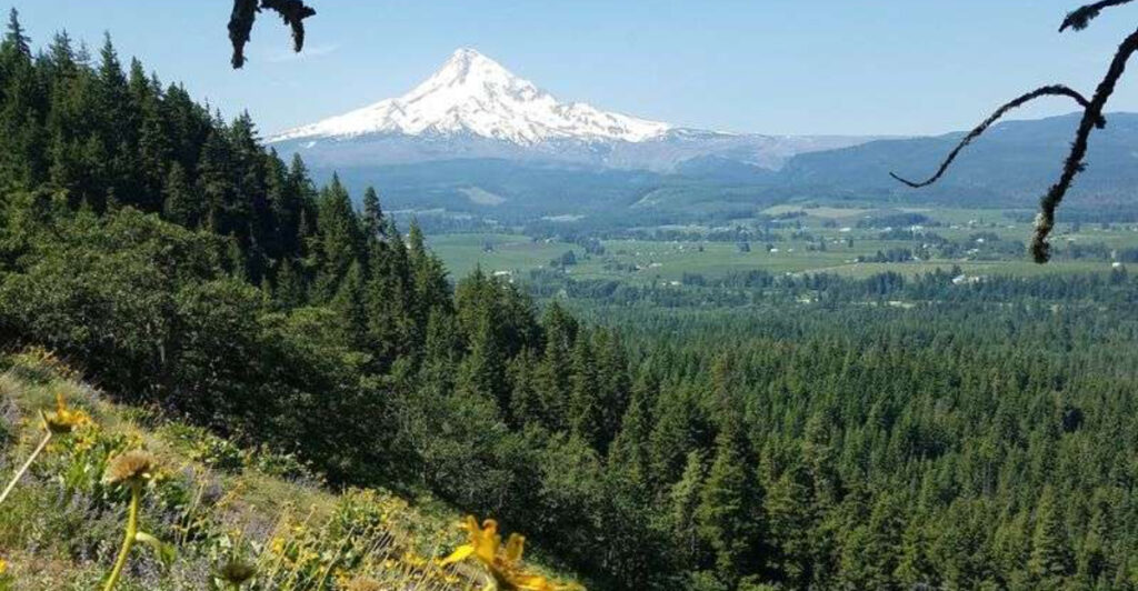 10 Lesser-Known Oregon Trails Made for Hikers Who Hate Crowds