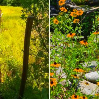 Open Only on Select Weekends, These Hidden Gardens in Walpole, New Hampshire, Feel Like an Exclusive Secret