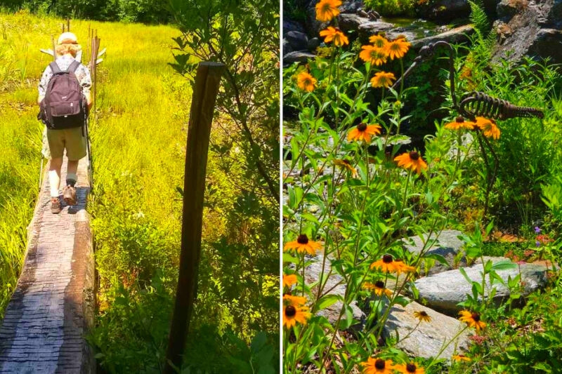 Open Only on Select Weekends, These Hidden Gardens in Walpole, New Hampshire, Feel Like an Exclusive Secret