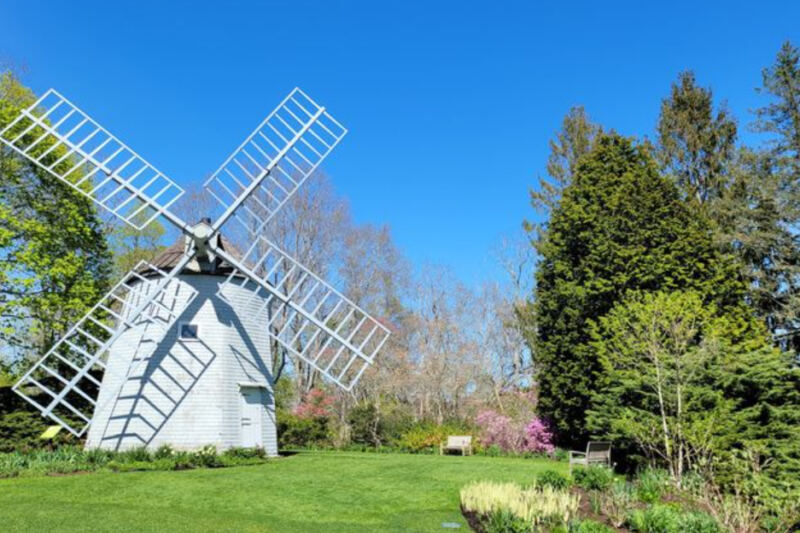 11 Enchanting Massachusetts Gardens So Whimsical They Feel Like Stepping Into Alice in Wonderland