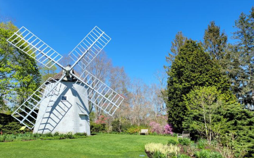 11 Enchanting Massachusetts Gardens So Whimsical They Feel Like Stepping Into Alice in Wonderland