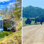 This Minnesota State Park Has A Double Waterfall And Roaming Bison
