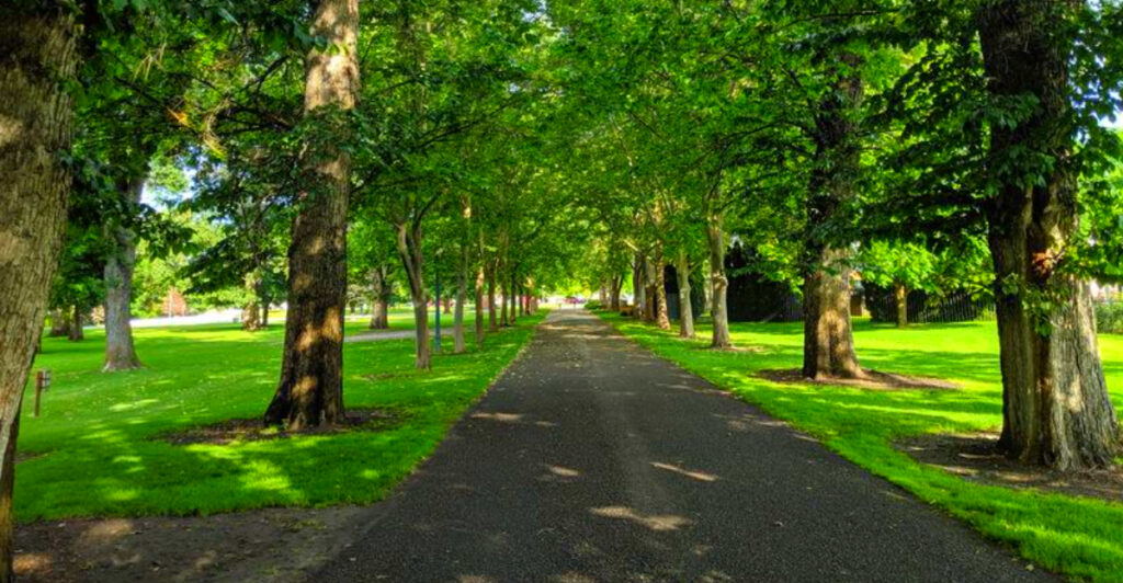 10 Gentle Idaho Walking Trails That Are Perfect for Seniors