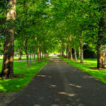 10 Gentle Idaho Walking Trails That Are Perfect for Seniors
