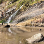 This Small Oregon Beach Is Easy to Miss but Worth Seeking Out