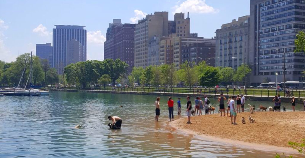 10 Illinois Beaches Perfect for a Day Out With Your Dog