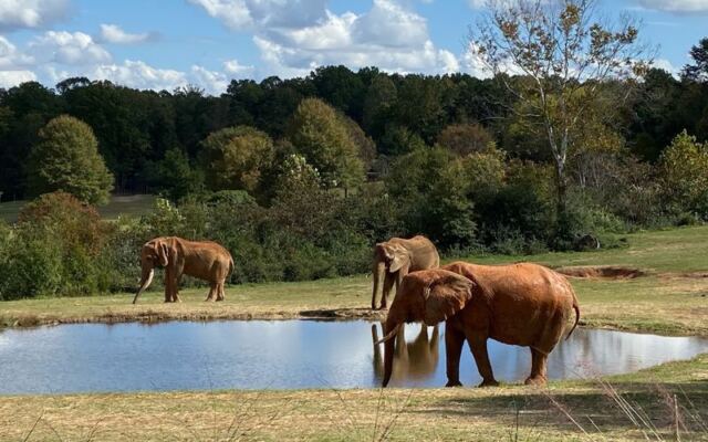 This North Carolina Zoo Is Really A Wildlife Expedition Pretending To Be A Day Out