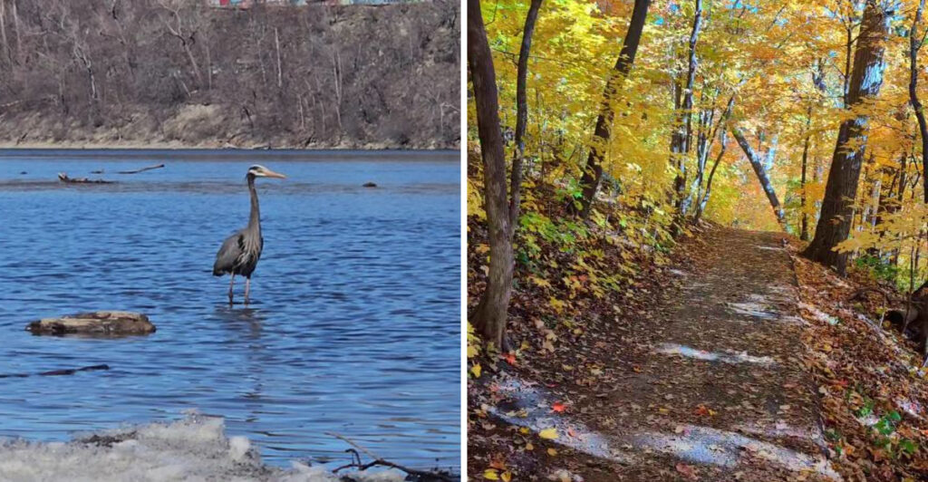 This Minnesota Trail Hides Inside The Mississippi River’s Only True Gorge