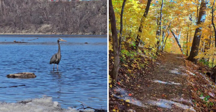 This Minnesota Trail Hides Inside The Mississippi River’s Only True Gorge