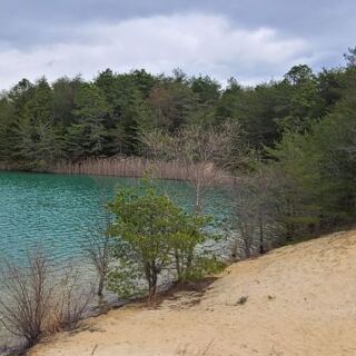 New Jersey’s Biggest Nature Preserve Hides Eerie Blue Holes, Rare Species, And Pine Barrens Quiet