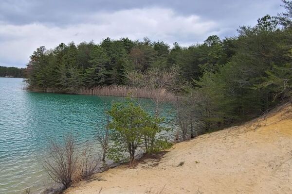 New Jersey’s Biggest Nature Preserve Hides Eerie Blue Holes, Rare Species, And Pine Barrens Quiet