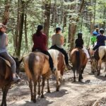 This Tennessee Stable Guides First-Time Riders On Calm Horses Through The Wooded Smoky Mountains