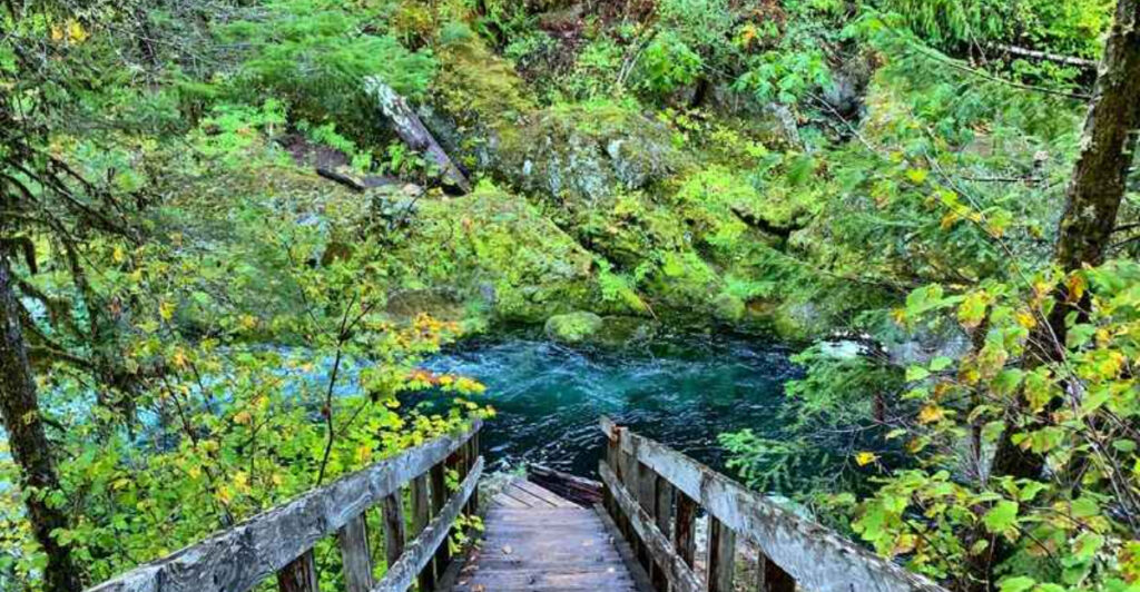 This Oregon Forest Hideaway Has Two Waterfalls and Clear Blue-Green Swimming Pools