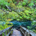 This Oregon Forest Hideaway Has Two Waterfalls and Clear Blue-Green Swimming Pools