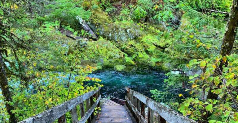 This Oregon Forest Hideaway Has Two Waterfalls and Clear Blue-Green Swimming Pools