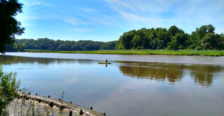 This Delaware Nature Reserve Hides 1,200 Acres of Marshland – and a Pirate Legend