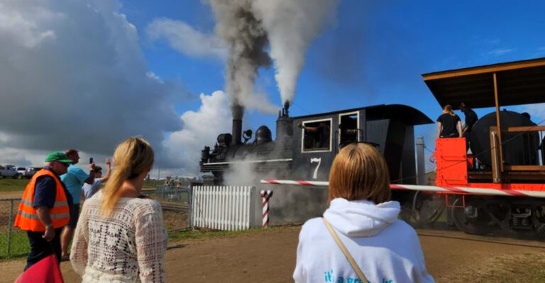 This Quiet Michigan Town Turns Into a Massive Flea Market With Steam Trains, Engines, and 4 Days of Action