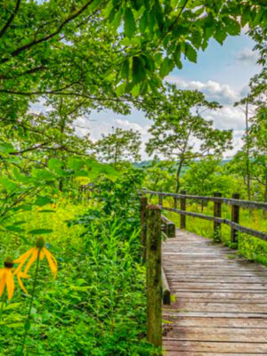 This Expansive Nature Preserve Showcases Missouri’s Native Landscapes at Their Finest