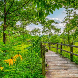 This Expansive Nature Preserve Showcases Missouri’s Native Landscapes at Their Finest