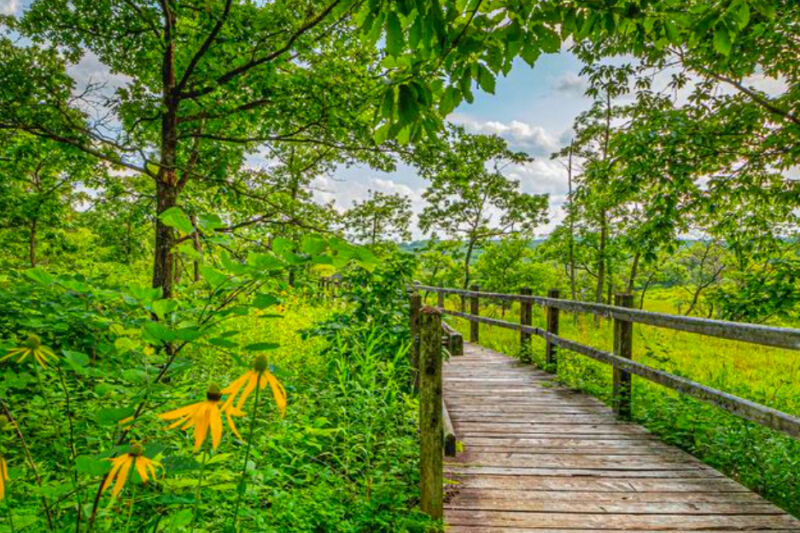 This Expansive Nature Preserve Showcases Missouri’s Native Landscapes at Their Finest