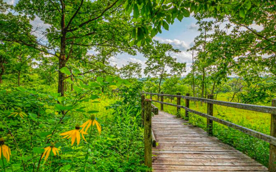This Expansive Nature Preserve Showcases Missouri’s Native Landscapes at Their Finest