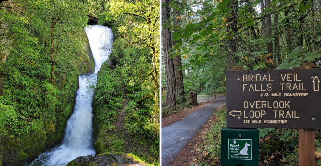 This Oregon Waterfall Hides Below a Former Lumber Mill Site