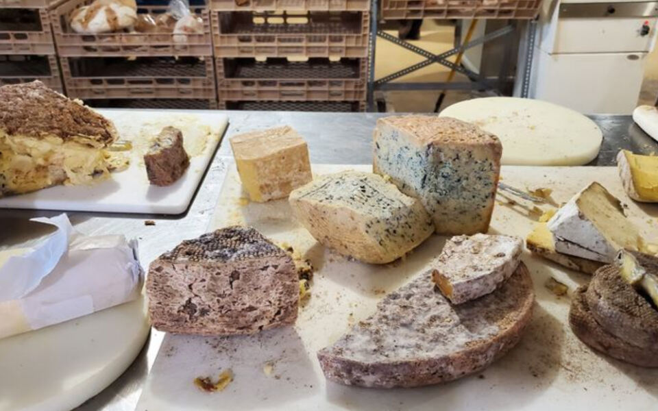 This Tiny New Jersey Dairy Farm Turns Pasture Milk Into Cheese You Taste At The Source