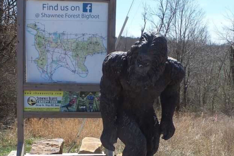 This Illinois Roadside Attraction Feels Normal Until You Spot the Giant Sasquatch