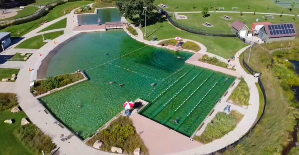 This Minnesota Pool Uses Plants Instead of Chlorine to Keep the Water Clean