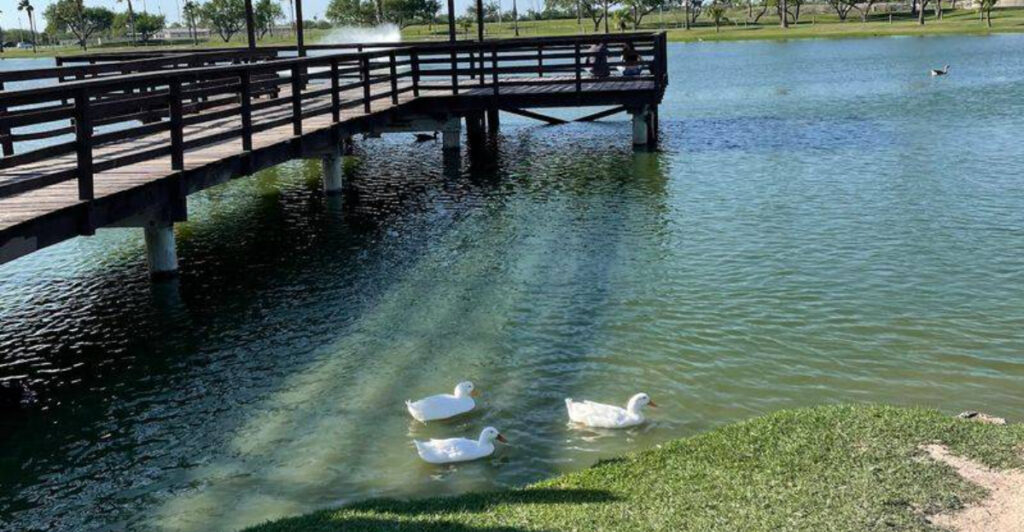 This $3 Texas Wildlife Experience Takes You Through Wetlands and Wildlife Viewing Areas