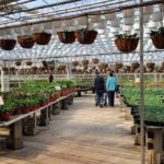 This Massive New Jersey Greenhouse Still Runs On Cash And Prices That Feel Decades Old