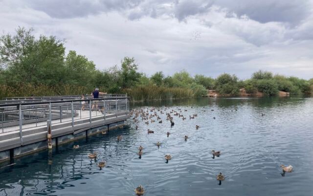 People Can’t Believe This Hidden Arizona Preserve Fills the Desert With Ponds and Pelicans