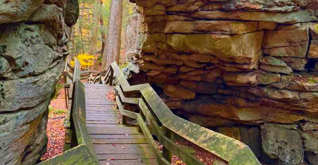 This West Virginia Park Has a Boardwalk Through a 300-Million-Year-Old Stone Maze