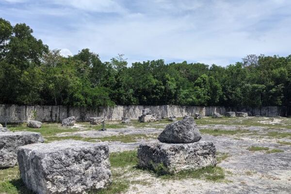 This Old Florida Quarry in the Keys Became a State Park Where You Walk Over Ancient Coral Fossils