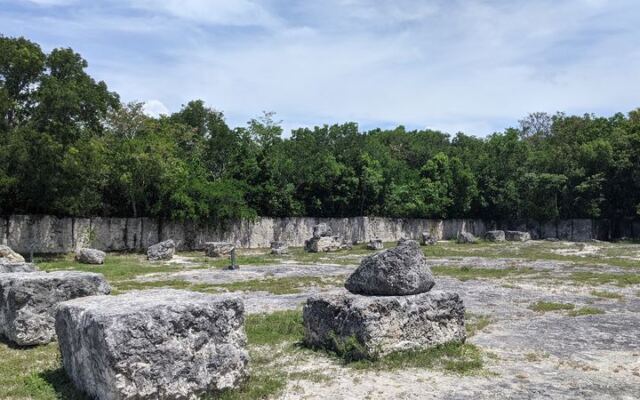 This Old Florida Quarry in the Keys Became a State Park Where You Walk Over Ancient Coral Fossils