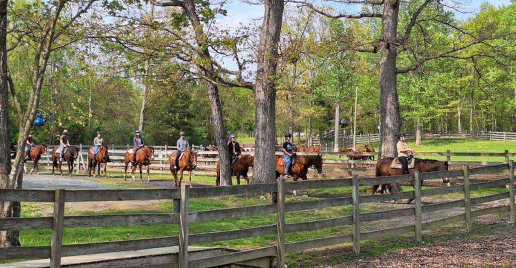 This Virginia Ranch Lets You Ride Horses Through Creeks And Mountain Forests