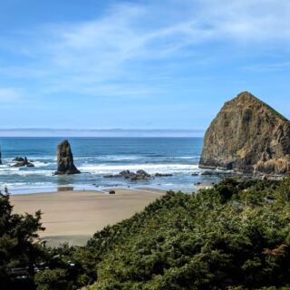 Tufted Puffins Have Returned To The Oregon Coast And This Rocky Viewpoint Is Where You’ll Spot Them