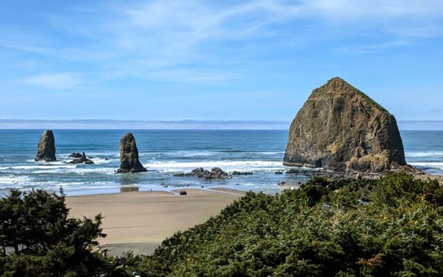 Tufted Puffins Have Returned To The Oregon Coast And This Rocky Viewpoint Is Where You’ll Spot Them