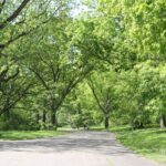 10 Beautiful Massachusetts Gardens and Arboretums Where a Warm-Weather Stroll Feels Calm and Colorful