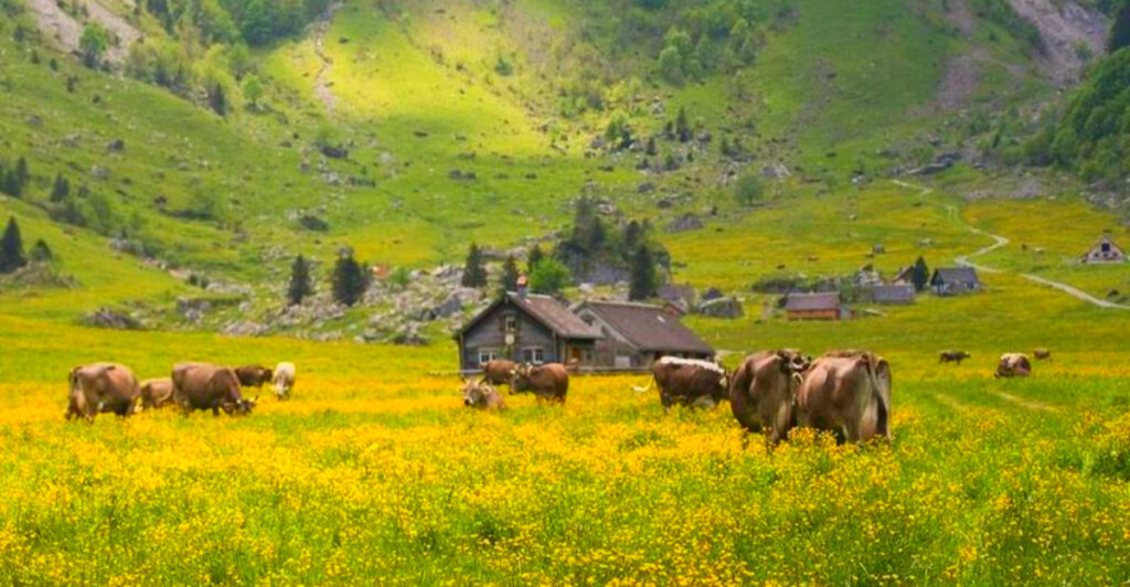 14 Regions Where Cheese Is Still Made in Mountain Huts