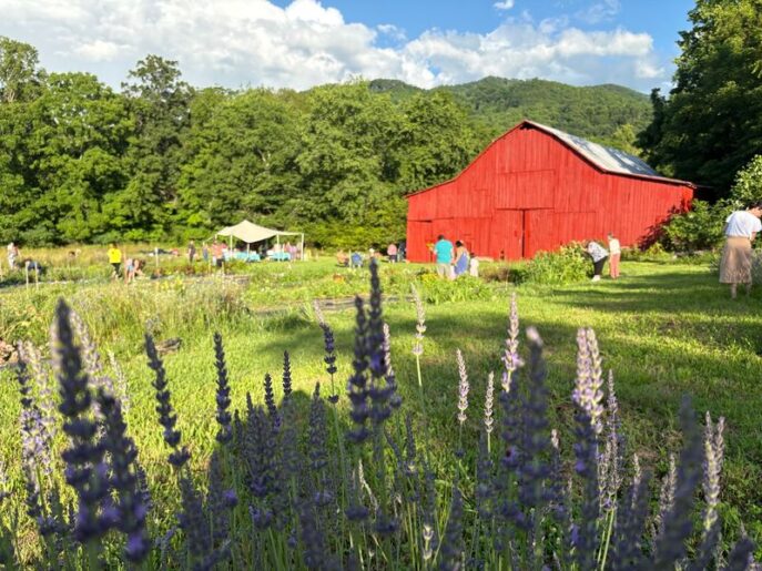 You Can Pick Your Own Colorful Bouquet by the Armful at This Johnson City Flower Farm