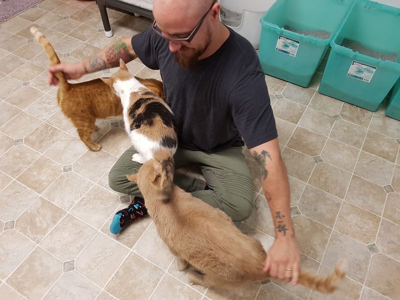 This North Carolina Sanctuary Gives Blind And Sick Cats The Second Chance No One Else Would