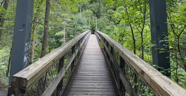 This Georgia Swinging Bridge Dangles High Above a Rocky River Gorge