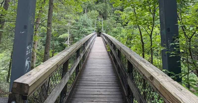 This Georgia Swinging Bridge Dangles High Above a Rocky River Gorge